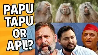 Yogi बोले टप्पू , टप्पू और टप्पू ! Yogi Adityanath Attack on Rahul , Akhilesh and tejashwi yadav!