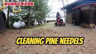Pine needels are hard to clean off the yard
