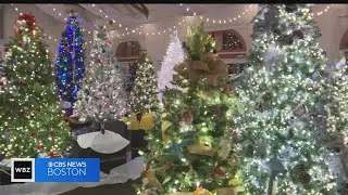 15th annual Festival of Trees opens for holiday season in Wellesley