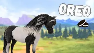 Creating OREO, the Pony! A very special commission / Breyer Model Horse Traditional Custom