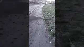 #uk #automobile #live #train #freedom #funny #winter #duet #viral