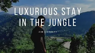 Solluna Resort- Jim Corbett | Weekend getaway from Delhi | Memorable stay in the Jungle | Vlog
