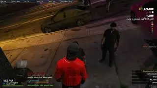 تخريب سرقة متحف الفنون بلاين