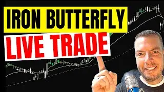 Live Iron Butterfly Trade in Thinkorswim