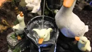 Duck Family at Tap Water Feature with Lights