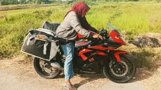   Bikin sarang ayam kampung bertelur