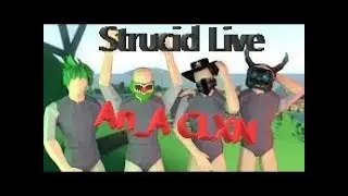 Strucid live
