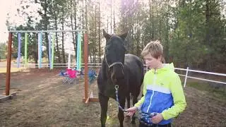 Second Chance Ranch
