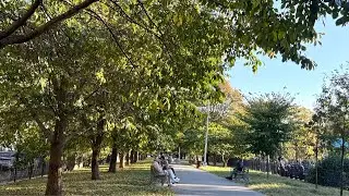 New York City: Bensonhurst Brooklyn  Live