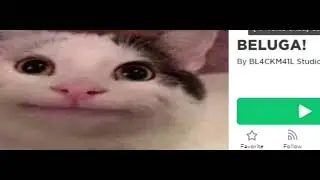 belublox #heckerbeluga #hecker #hacker #believe #cat #cats #moments #turkey #t&uuml;rkiye