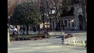 Al menos 10 muertos por un ataque suicida de un sirio en una zona tur&iacute;stica en Estambul