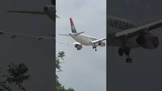 🇷🇸✈️🇬🇧 Air Serbia A319 Over the Fence at Heathrow! 🔥 Final Approach to 27L #wingsandrunways