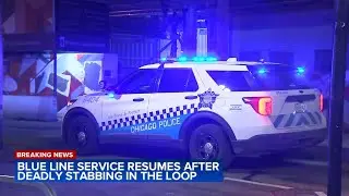 Man stabbed to death at CTA station in the Loop, Chicago police say