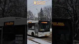 МАЗ-206.086 б/н 604 г/н [АМ 938 32] по маршруту 11 , г.Брянск 🚌