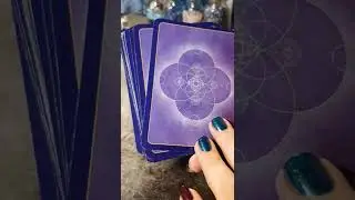 An Oracle Card for you! | Timeless | Hope Tarot Daily