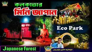 A night tour of eco parks Japanese forest | Japanese forest in eco park Kolkata | New town Eco park