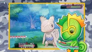 [WSHC #2]Random Shiny Kecleon Alpha Sapphire!