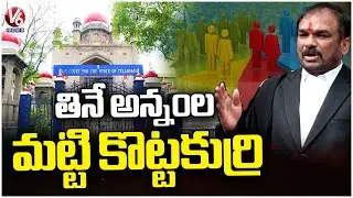 Telangana High Court Senior Advocate Warns petitioners Over 42% BC Reservations | V6 News