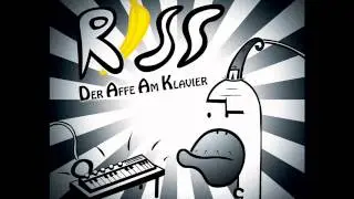 Riss - Rapbeh&ouml;rde