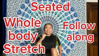 Seated Full Body Stretching for Seniors | Safe & Low Impact