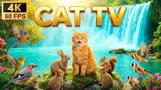 Cat TV 8 Hours - Turquoise Waterfalls Paradise: Bunnies, Jay & Goldfinches