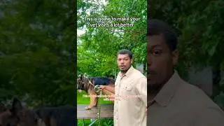 Train Your Dog for the Vet or Groomer&mdash;Using a Park Bench