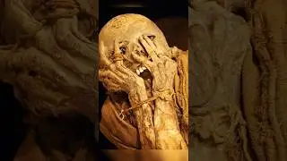 This Mummy Was Hidden in Peru&rsquo;s Cloud Forest for 1,000 Years #didyouknow #history #ancient
