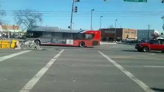 Takoma Langley Crossroads Transit Center - WMATA Metrobus & Ride-On: Bus Observations #14