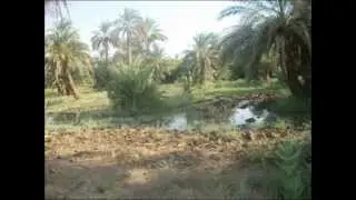 منتديات صدي البرقيق.wmv