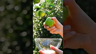 Crystal Fruit Garden Harvest ASMR | Oddly Satisfying AI Sounds