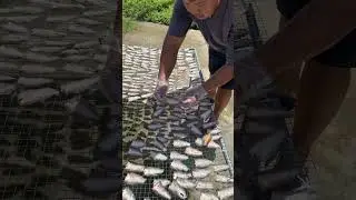 Kh&ocirc; c&aacute; đ&oacute;i @97226997-8