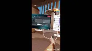 Virtual reality live!!