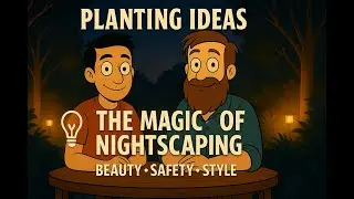 💡 The Magic of Nightscaping | Outdoor Lighting for Beauty & Safety