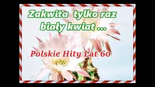 🎸🎼Zakwita tylko raz , biały kwiat  -   Polskie Hity lat 60.🎸🎵