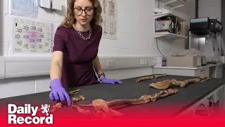 Remains of two Bronze Age people found by farmer being cared for in new Scottish facility