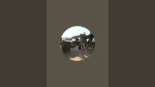 Mtv is live