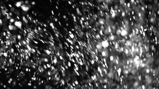 (52) Particles Package | Free Stock Footage | digital.meals