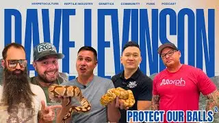 Protect Our Ball Pythons Part 2 With Bob Vu Justin Kobylka Chad Hulker & Will Moroz | DLRP