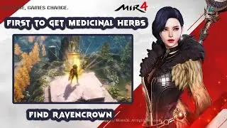 MIR4 FIRST TO GET MEDICINAL HERBS | FIND RAVENCROWN | BICHEON CASTLE REQUEST