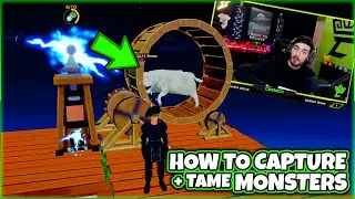How to Capture + Tame Monsters in Craftopia / How to use Monsters to Generate Power |Craftopia Guide