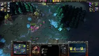 Deathnote(HU) vs Orcbrave(ORC) - Warcraft 3: Classic - RN8685