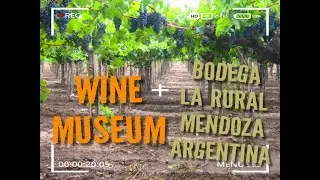 Magnificient WineTasting at  Bodega La Rural y Museo del Vino in Argentina.