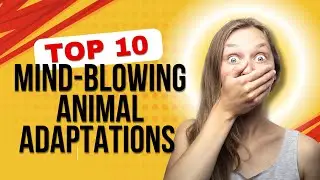 10 Mind-Blowing Animal Adaptations You&rsquo;ve Never Heard Of