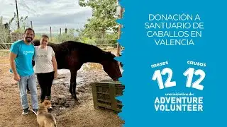 Santuario Equino de Caballos en Valencia | Adventure Volunteer