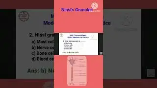 Mrb pharmacist RRB pharmacist exam anatomy and physiology notes neuron #rrbpharmacist #rrbchennai