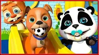 Vamos Brincar com Bingo - Mais m&uacute;sicas infantis | Little Panda Doctor Portugu&ecirc;s