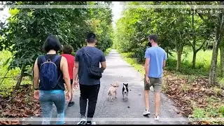 Kranji Marshes with family before phase 3 heightened measures | International Couple Vlog | Ep. 47
