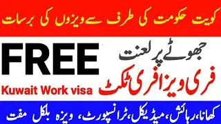 Latest Thousands Kuwait Free work visa For Male and female 2021