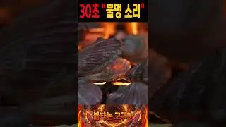 #Shorts불멍소리 30초/#Bulmeong #fire