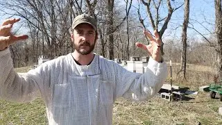 Breaking The Honey Dome - Spring Hive Management #2